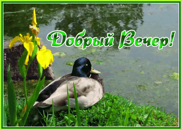 Открытка добрый вечер с весенней природой!