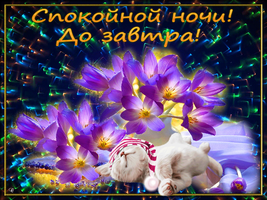 Доброй ночи - картинка мерцающая скачать.