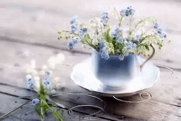Красивая летняя gif анимация Июнь
