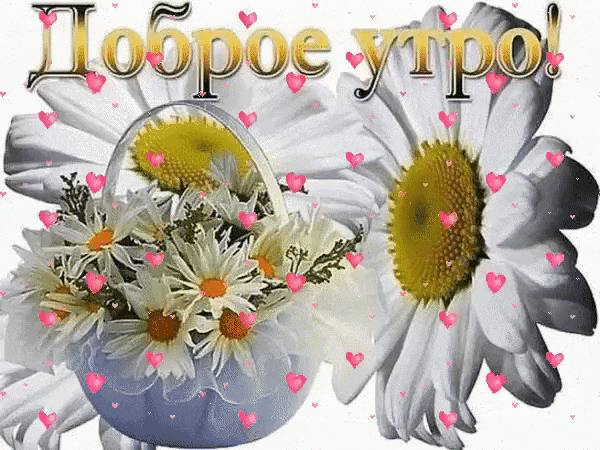 Ромашковая гифка доброго утра!