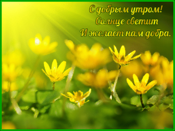 Анимационная открытка с добрым утром! Солнце светит и желает нам добра!