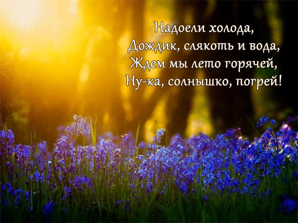 Красивая летняя гифка с пожеланиями!
