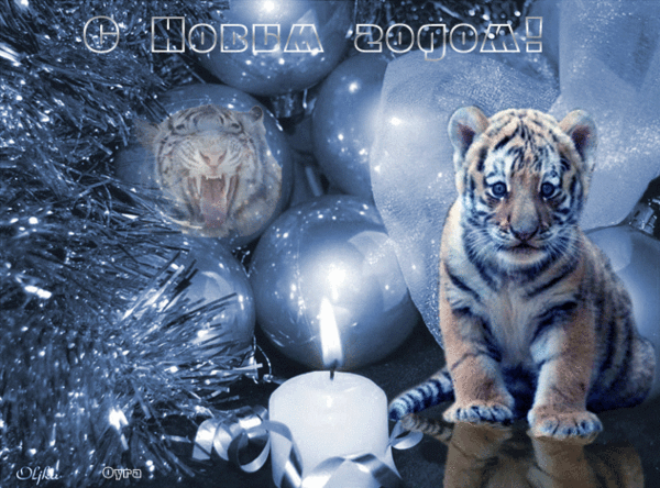Милая анимированная картинка с новым годом тигра! Милая анимированная картинка с новым годом тигра!