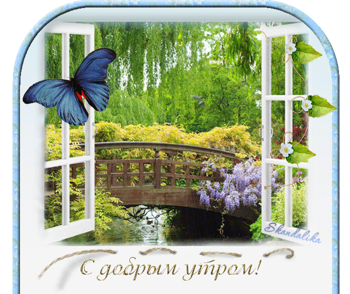 Доброе летнее утро анимация. Открытки с добрым утром с природой.