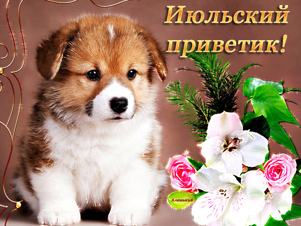 Гиф картинка Июльский приветик!