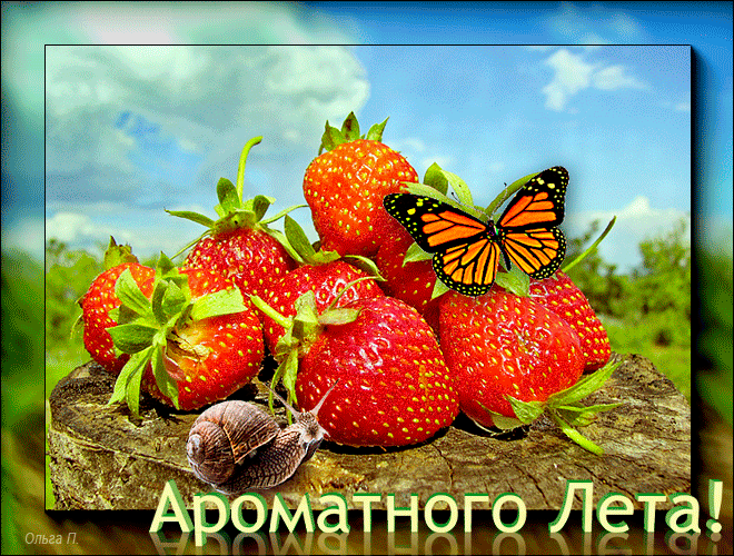 Гифка с пожеланием ароматного лета, бабочка сидит на клубнике!