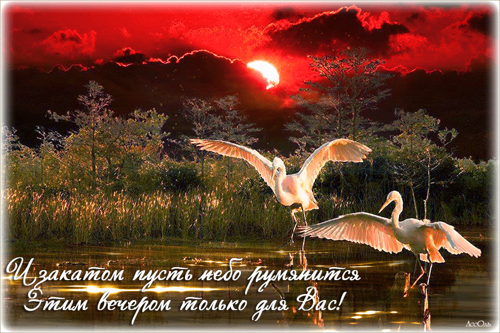 Пожелания доброго летнего вечера