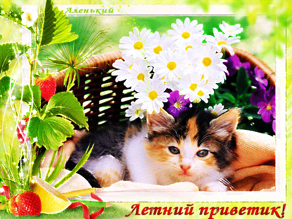 Анимированная открытка Летний приветик! Летний приветик красивые картинки, Летний приветик гифки