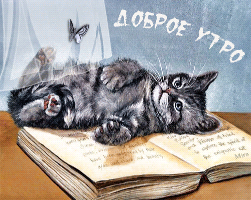 Анимация с пожеланием доброго утра и кошечкой!