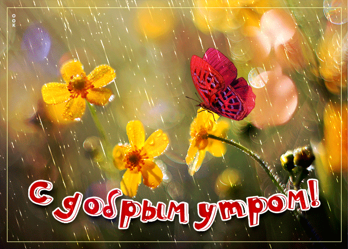 Открытка доброе утро с дождем