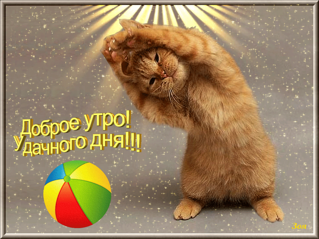 Скачать бесплатно доброе утро. открытки с добрым утром. Открытки с добрым утром анимационные, красивые.