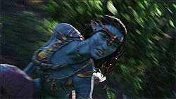 Avatar GIF for discord
