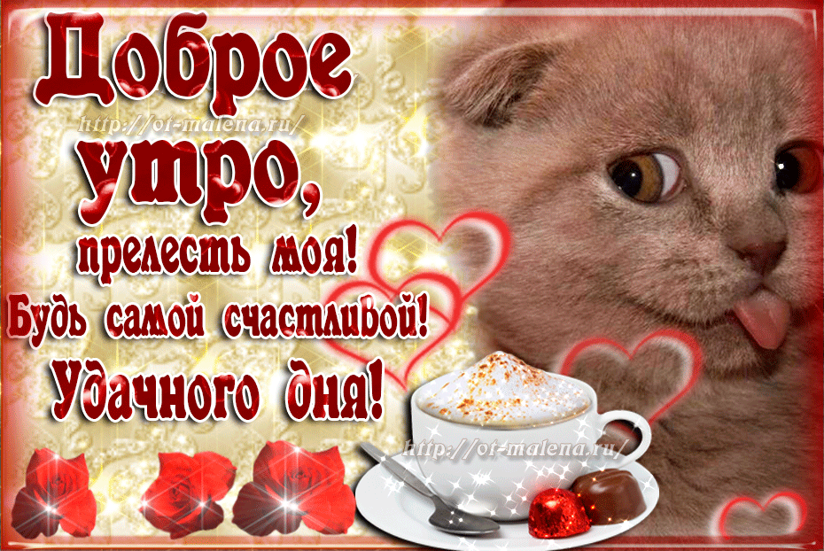 Анимационные открытки с добрым утром прелесть моя Анимационные открытки с добрым утром прелесть моя