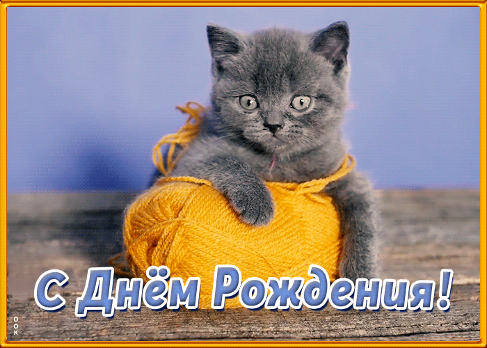 Открытка с днем рождения подруге с котиком