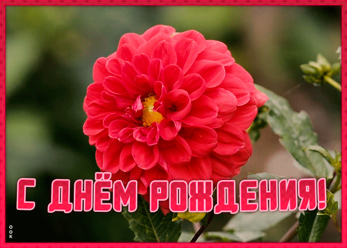 Открытка поздравление с днем рождения подруге