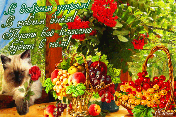Gif анимация С добрым утром! С новым днем! Пусть все классно будит в нем!