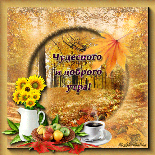 Гифы (анимация) с добрым утром сентября!