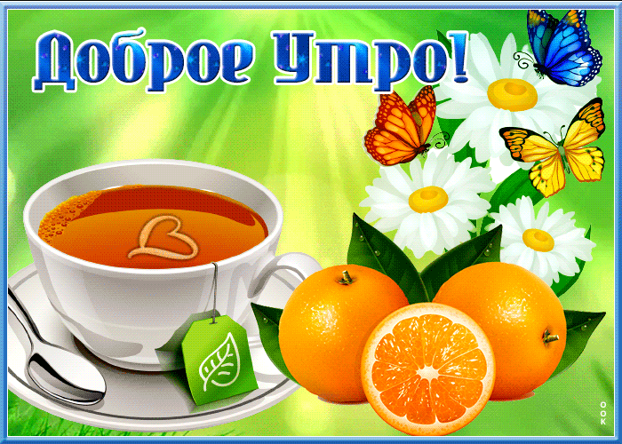 Красивая гиф открытка хорошего летнего утра с ромашками и бабочками!