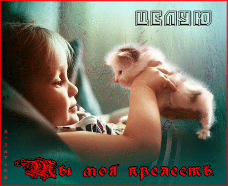 Гиф картинка Маленькая девочка играет с котёнком, посылает ему воздушный поцелуй. Для котёнка она самая лучшая, просто прелесть.