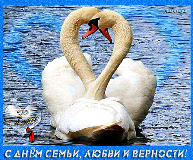 Мерцающая открытка с белыми лебедями на день Семьи, Любви и Верности!