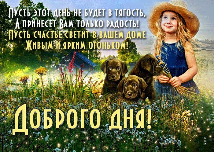 Гиф Открытка добрый день с щеночками