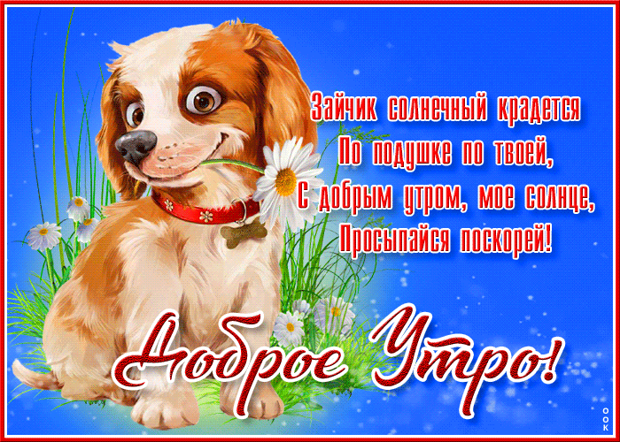 Gif картинка доброе утро, мое солнце со стихами