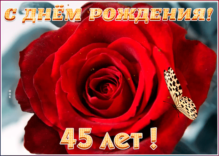 ГИФ открытка День Рождения 45 лет с красной розой для женщины ГИФ открытка День Рождения 45 лет с красной розой для женщины