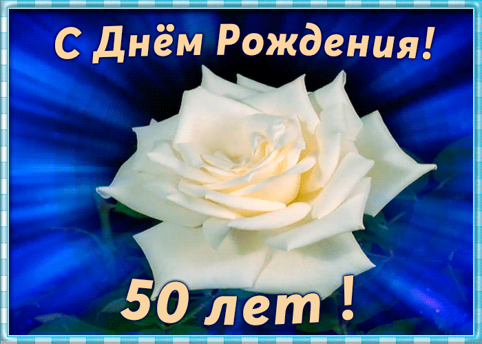 Открытка День Рождения 50 лет с белой розой