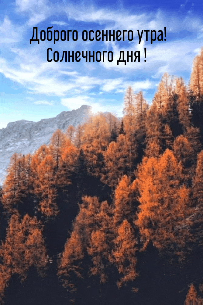 Гифка доброго осеннего утра и солнечного дня!