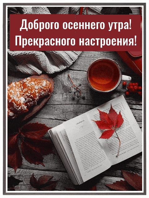 Гиф доброго осеннего утра и прекрасного настроения!