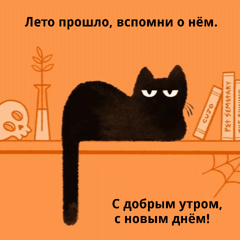 Красивые осенние пожелания с добрым утром