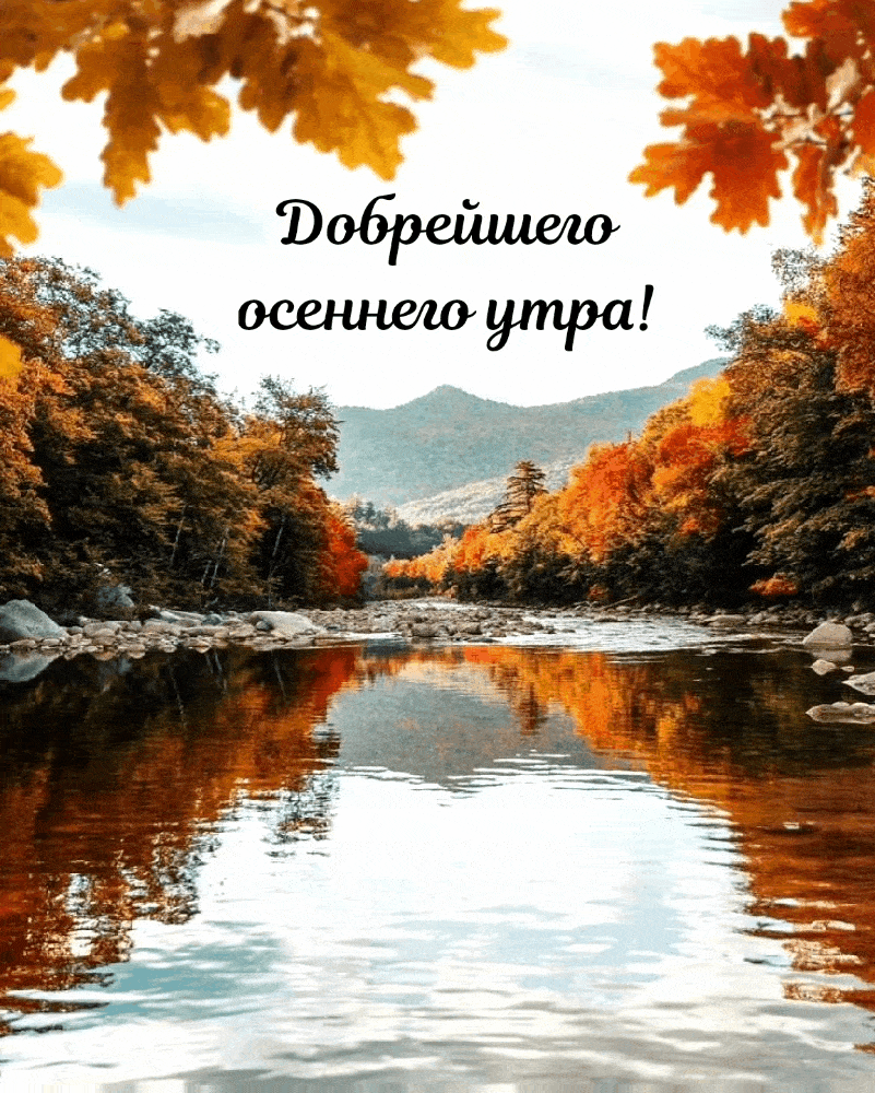 Гифки которые желают доброго утра