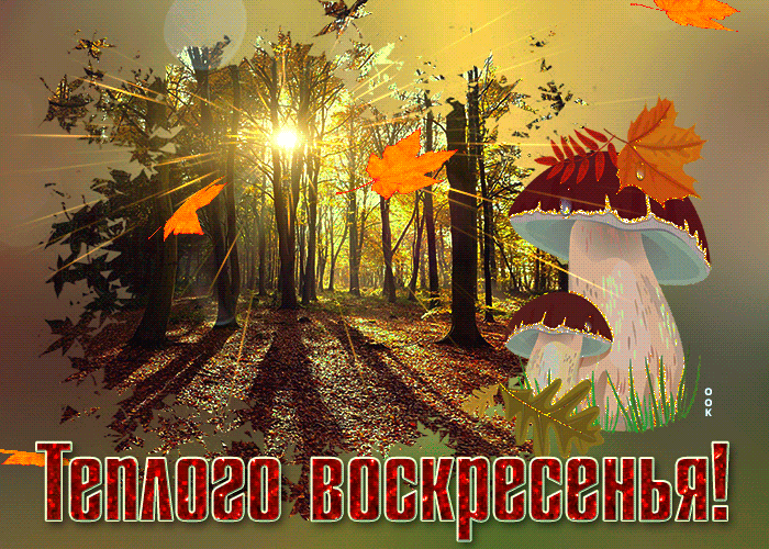 Красивые осенние открытки с воскресеньем