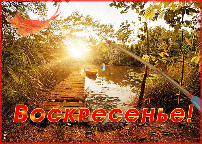 Осенняя Картинка с воскресеньем для поднятий настроения