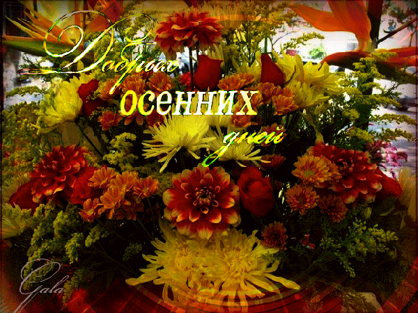 Поздравление С Осенним Утром С Букетом Цветов. Осенние букеты с пожеланиями.