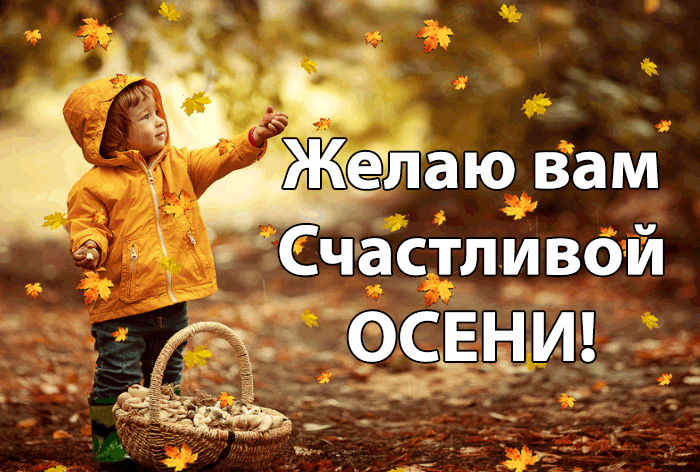Мигающая открытка Желаю вам Счастливой ОСЕНИ с листопадом! Мигающая открытка Желаю вам Счастливой ОСЕНИ с листопадом!