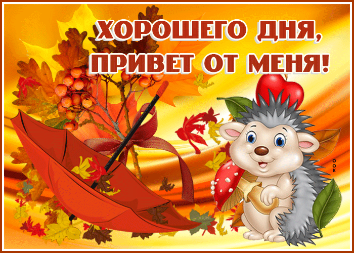 Картинка хорошего осеннего дня привет от меня