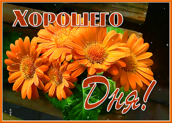 Мерцающая Открытка яркого и хорошего дня с герберами!