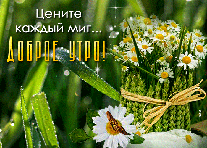 Мерцающая картинка Картинка цените каждый миг, красивая природа с ромашками! Мерцающая картинка Картинка цените каждый миг, красивая природа с ромашками!
