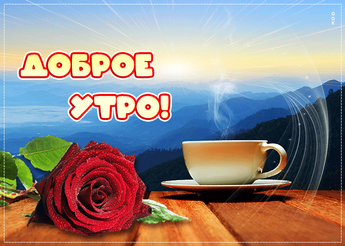 Красивая анимационная открытка доброе утро с красной розой Красивая анимационная открытка доброе утро с красной розой