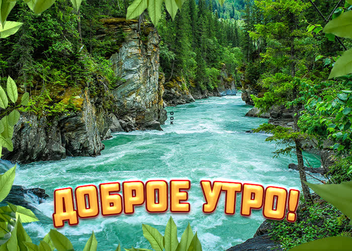 Картинка с пожеланием доброго утра с красивой природой Картинка с пожеланием доброго утра с красивой природой