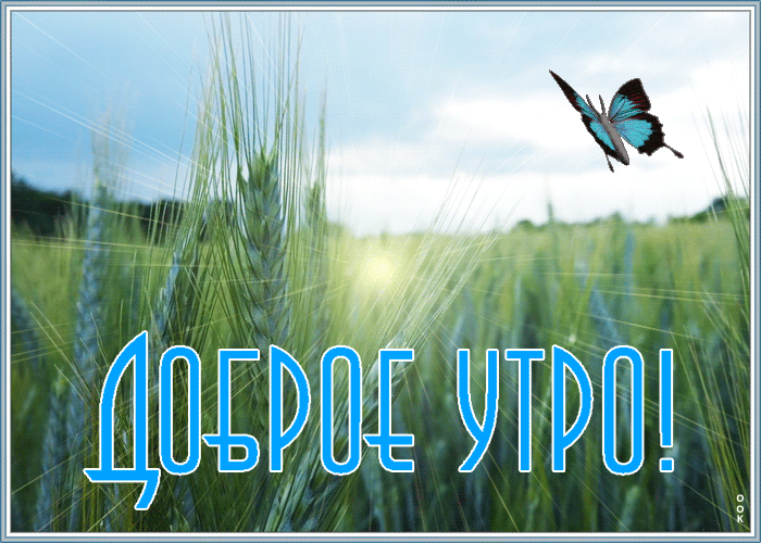Красочная картинка доброе утро Красочная картинка доброе утро