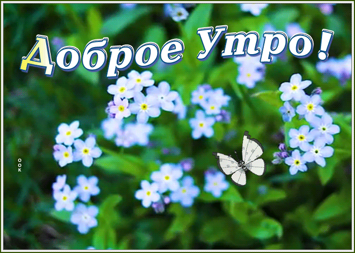 Открытка доброе утро с необычными цветами Открытка доброе утро с необычными цветами