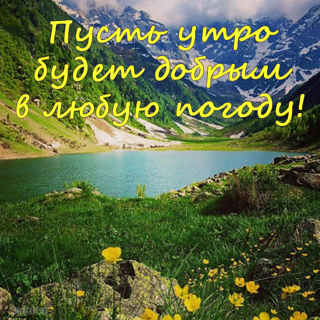 Картинки с добрым утром хорошего дня позитивные природа. Удачного дня природа, Доброе утро красивая природа с пожеланием. Картинки с добрым утром хорошего дня позитивные природа. Удачного дня природа, Доброе утро красивая природа с пожеланием.