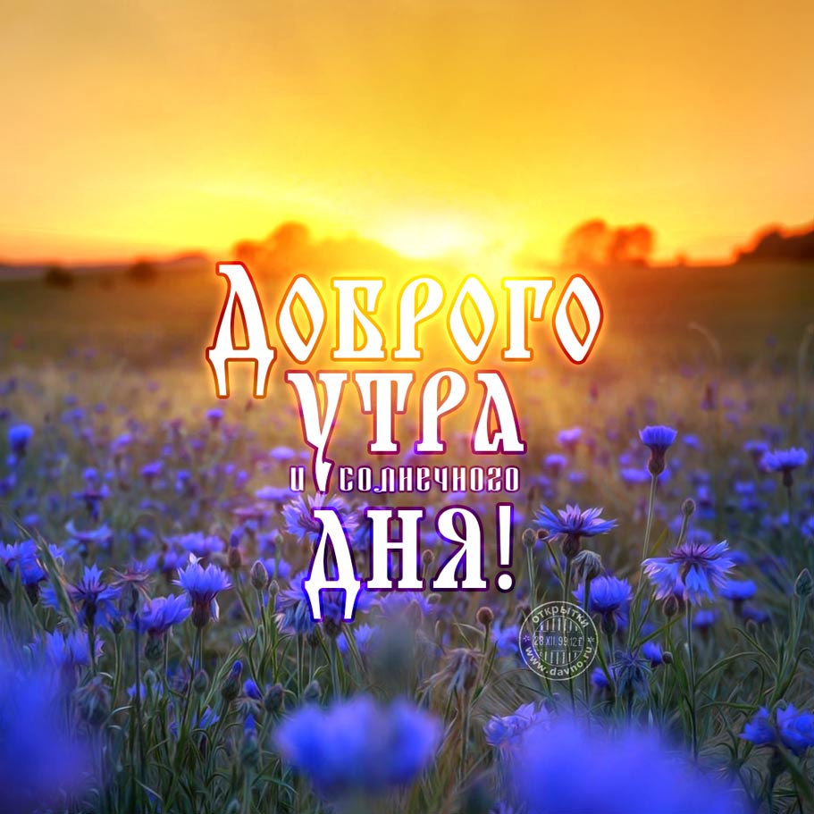 Открытка с фотографией рассвета и пожеланием доброго утра и солнечного дня. Открытка с фотографией рассвета и пожеланием доброго утра и солнечного дня.