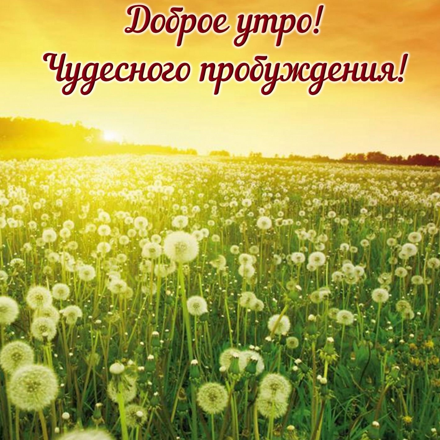 Красивая открытка с добрым утром с природой. Красивая открытка с добрым утром с природой.