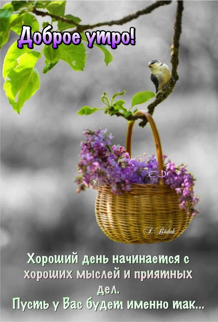 Гиф Хорошего начала дня Гиф Хорошего начала дня