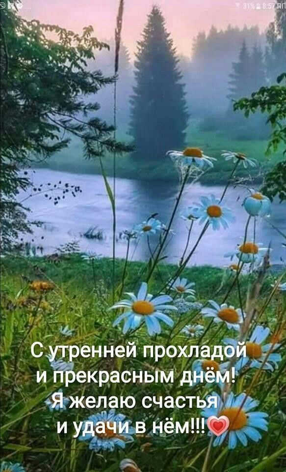 С добрым утром - картинки с надписью. Пожелания с добрым утром с природой. С добрым утром - картинки с надписью. Пожелания с добрым утром с природой.