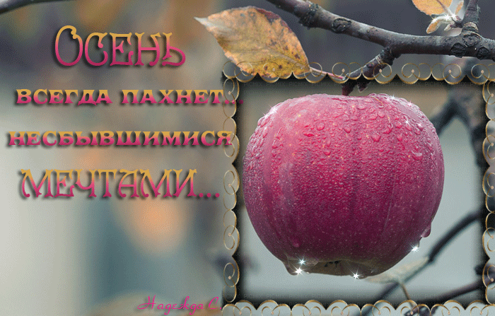 Гифка осенние стихи Осень всегда пахнет…