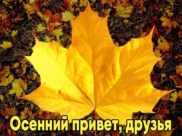 Гиф картинка Осенний привет, друзья